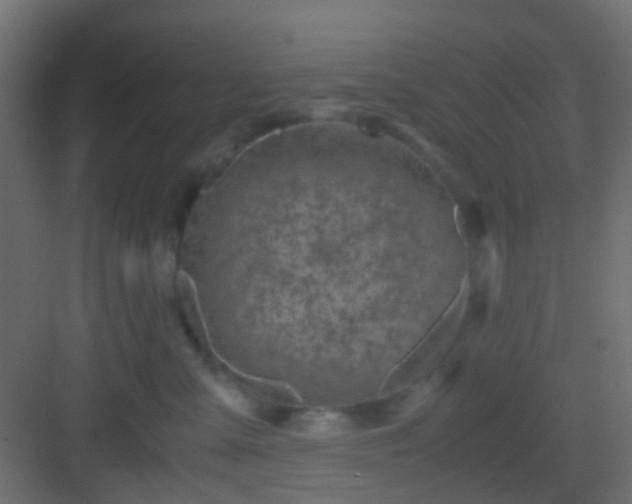 X0000082950427200702081654