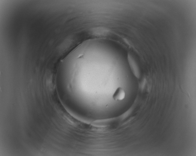 X0000082950428200702081654