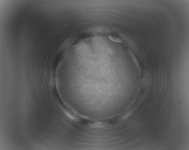 X0000082950430200702081654