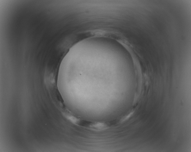 X0000082950431200702081654
