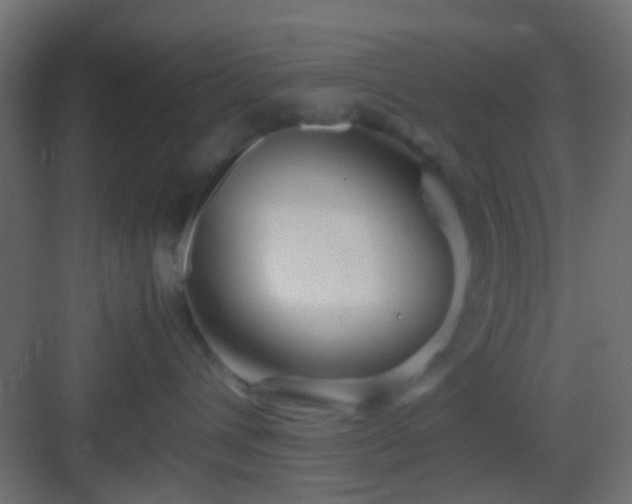 X0000082950432200702081654