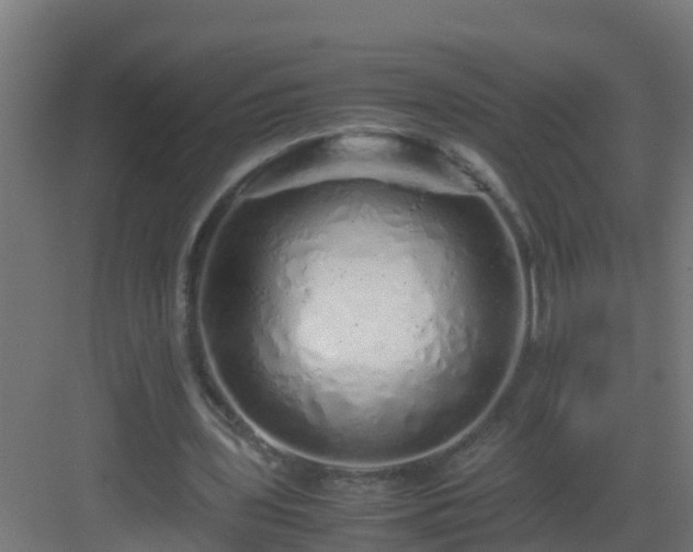 X0000082950435200702081653