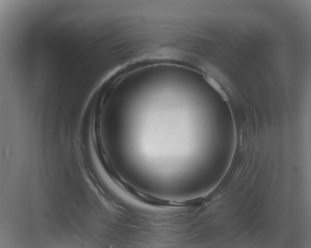 X0000082950436200702081653