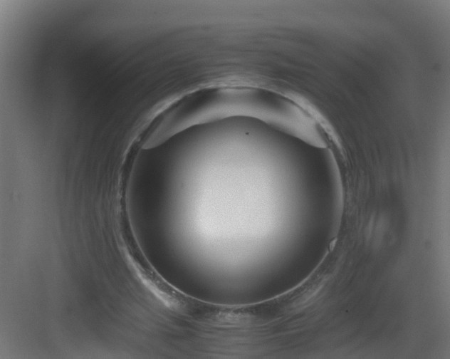 X0000082950437200702081653