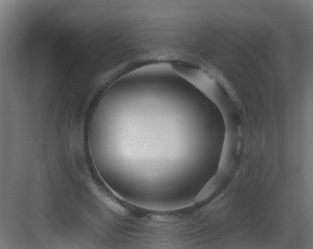 X0000082950442200702081654
