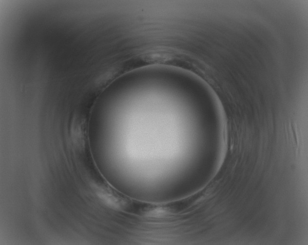 X0000082950460200702081654