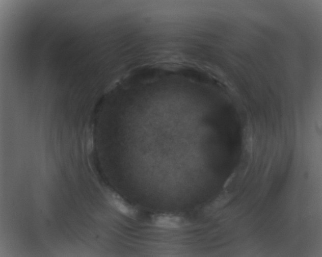 X0000082950471200702081654