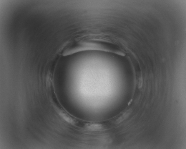 X0000082950476200702081654