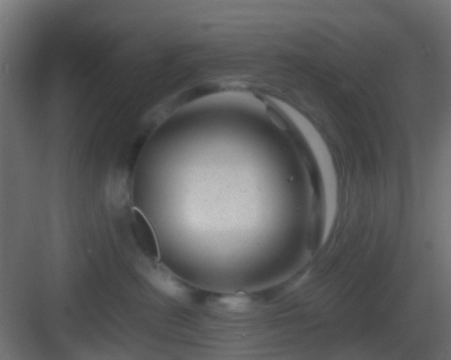 X0000082950478200702081654