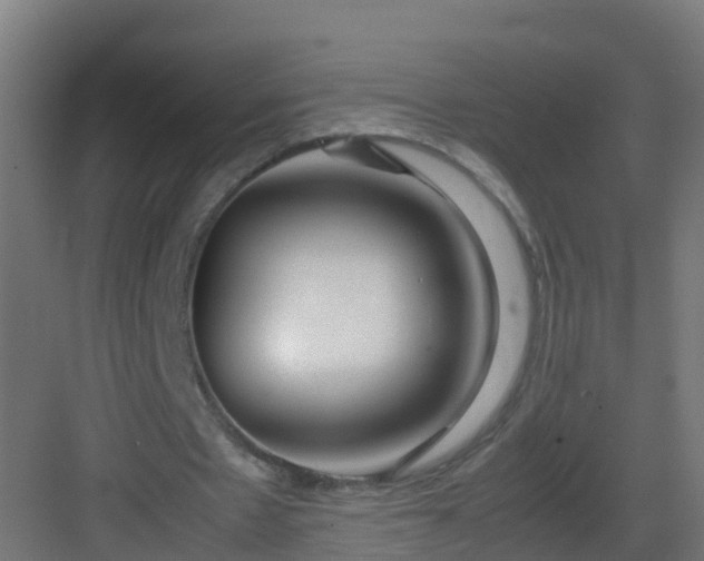 X0000082950481200702081653