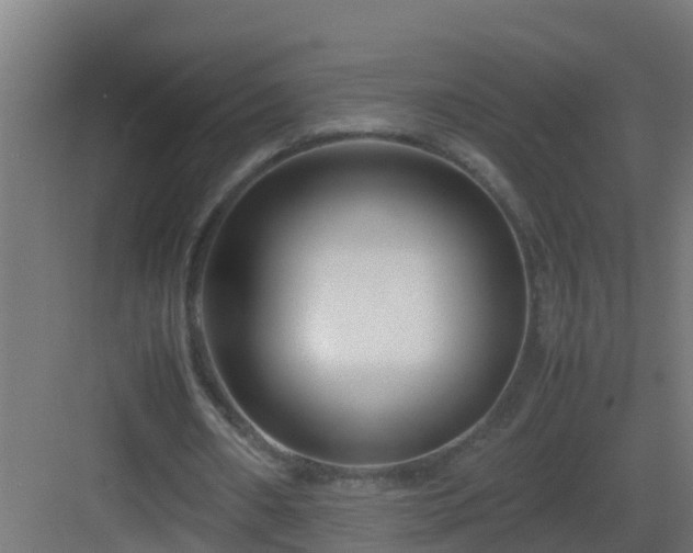 X0000082950482200702081653