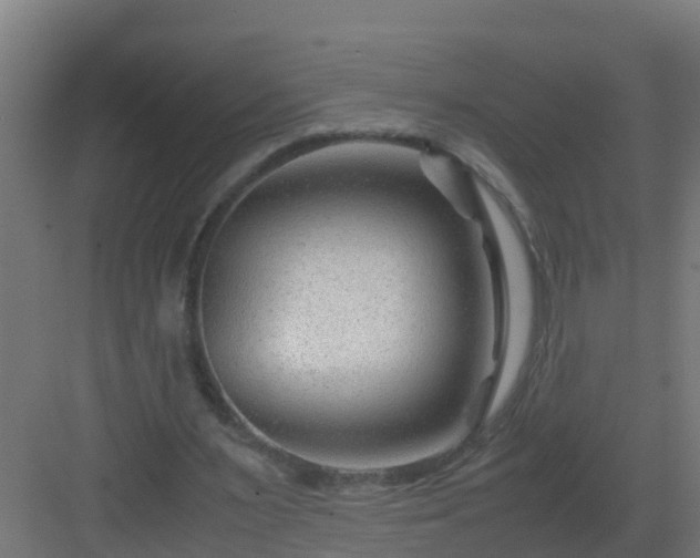 X0000082950483200702081653