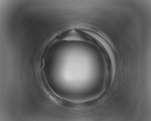 X0000082950485200702081653