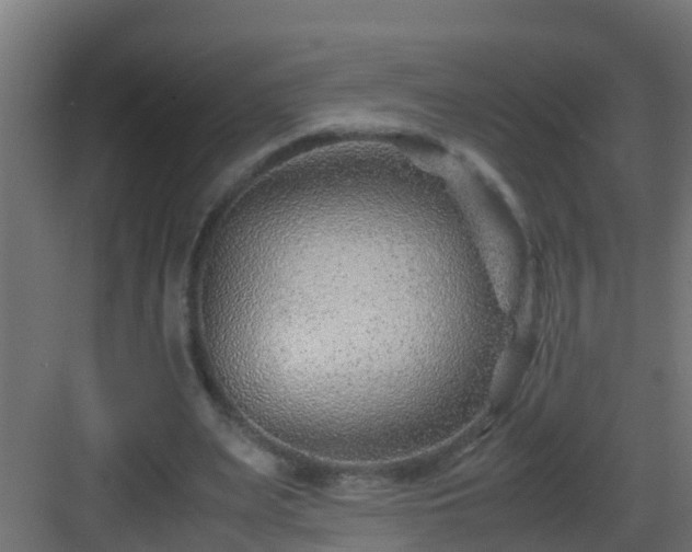 X0000082950487200702081653