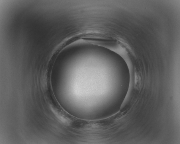 X0000082950492200702081653