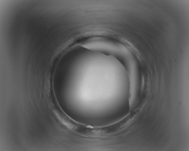 X0000082950493200702081653