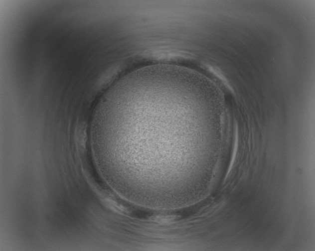 X0000082950495200702081653