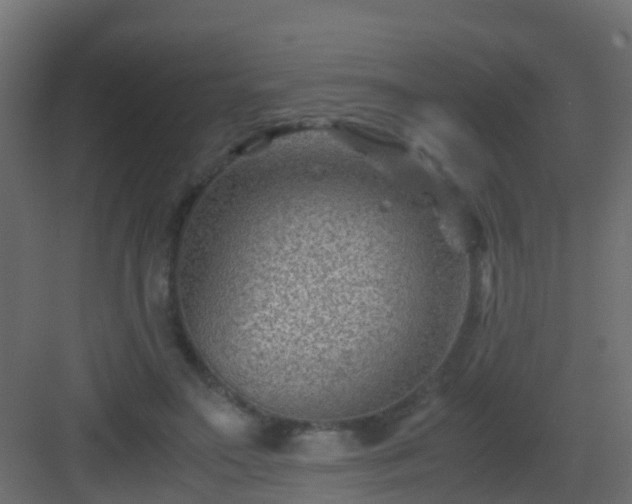 X0000082950499200702081653