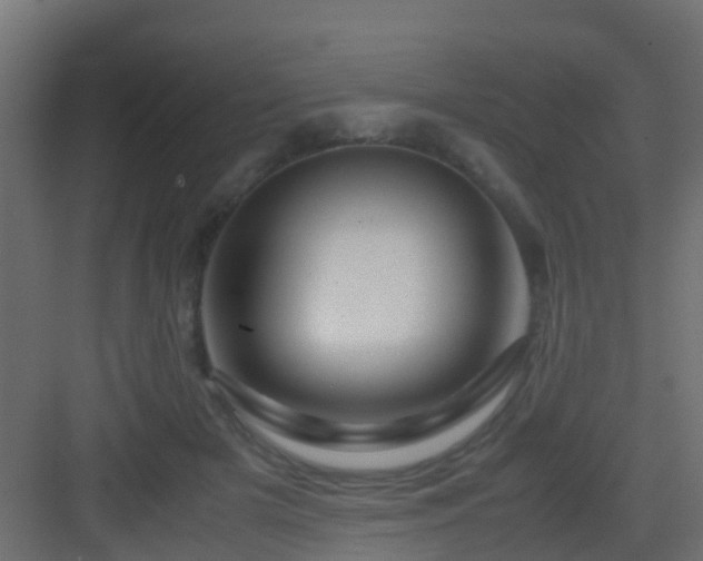 X0000082950505200702081653
