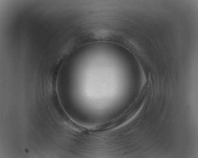X0000082950508200702081653