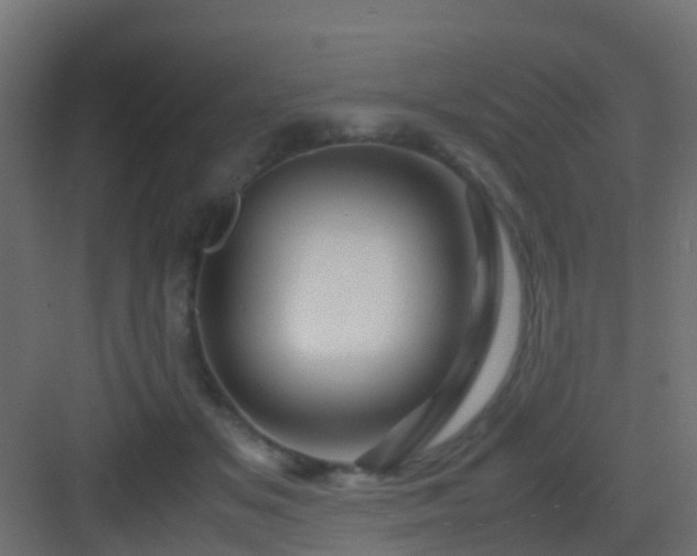 X0000082950509200702081653