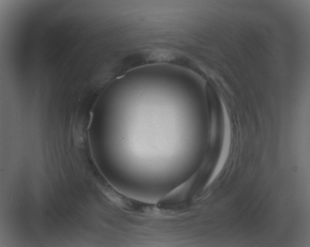 X0000082950517200702081653