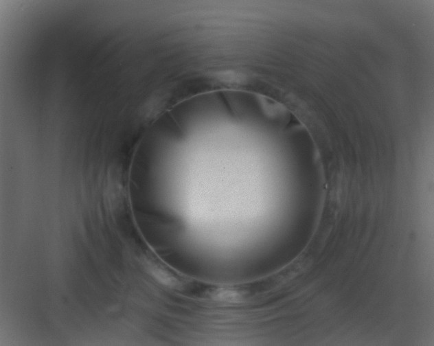 X0000082950518200702081653