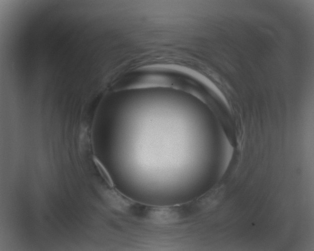 X0000082950521200702081653