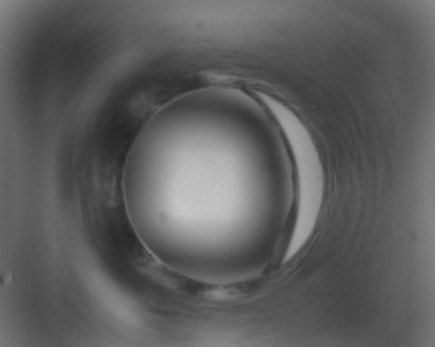 X0000082950525200702081653