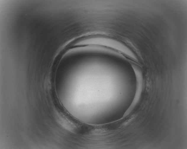 X0000082950536200702081652