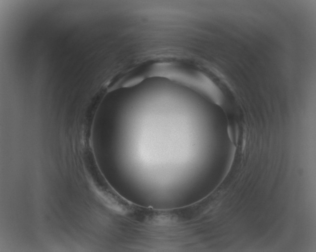 X0000082950546200702081652