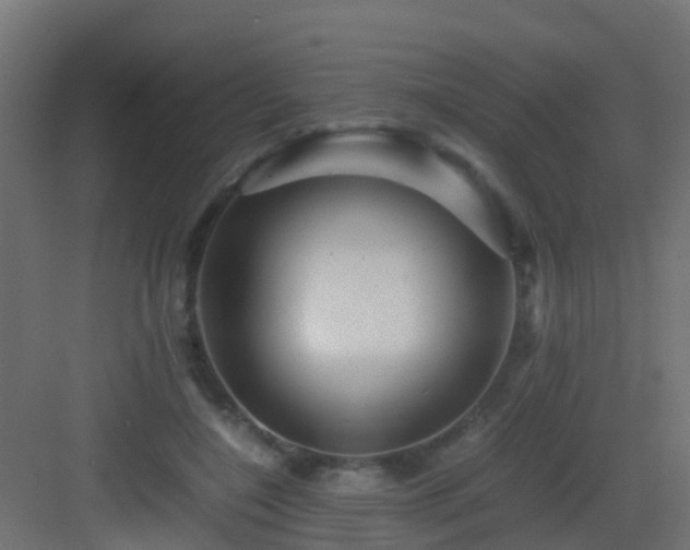 X0000082950548200702081652