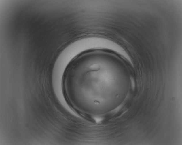 X0000082950556200702081652