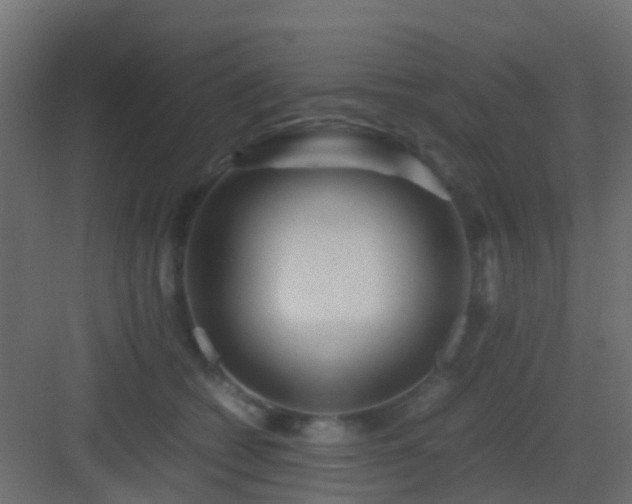 X0000082950562200702081652
