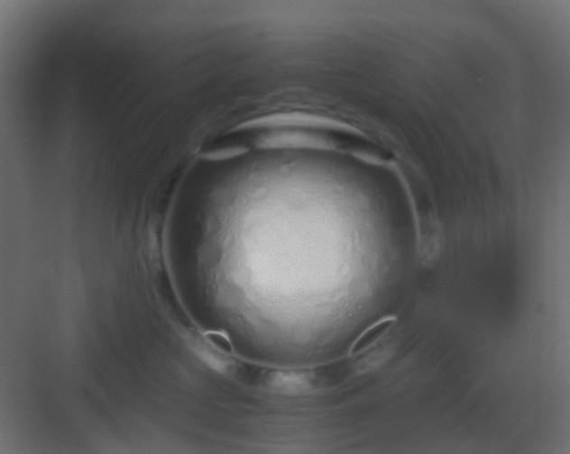 X0000082950573200702081652