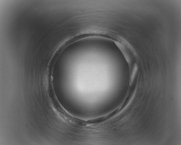X0000082950580200702081652