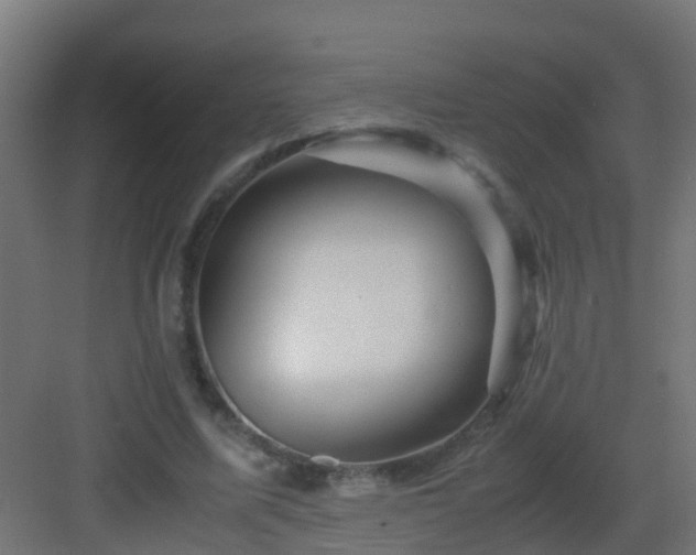 X0000082950587200702081652