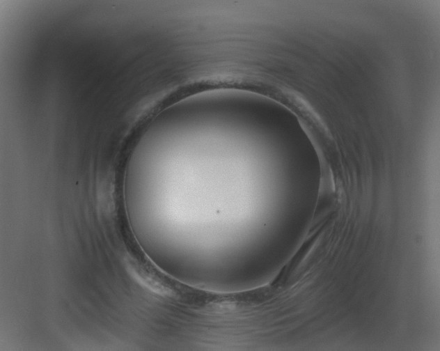 X0000082950588200702081652