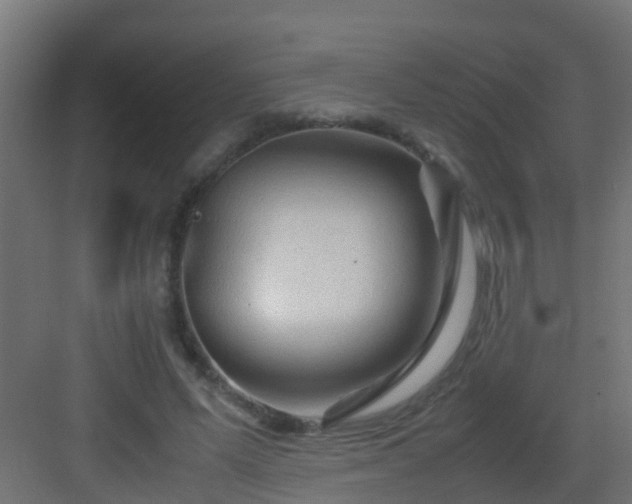 X0000082950591200702081652