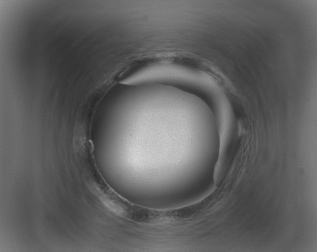 X0000082950593200702081651