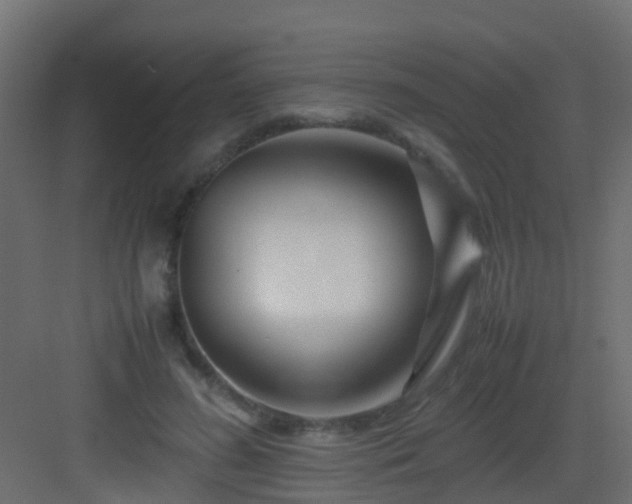 X0000082950596200702081651