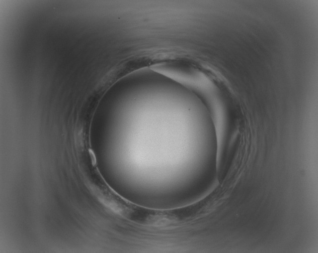 X0000082950597200702081651