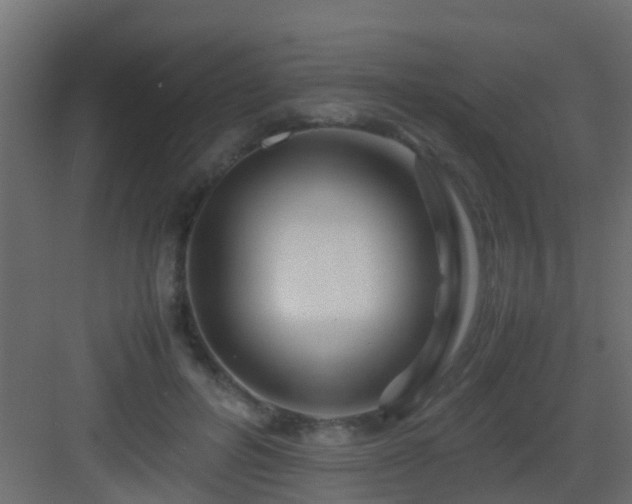 X0000082950600200702081651