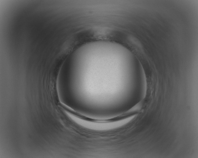 X0000082950603200702081651