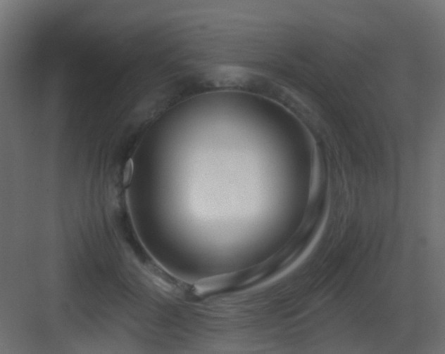 X0000082950604200702081651