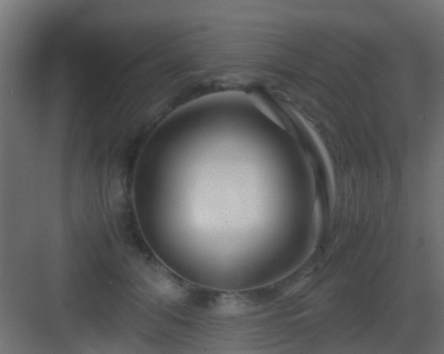 X0000082950608200702081651