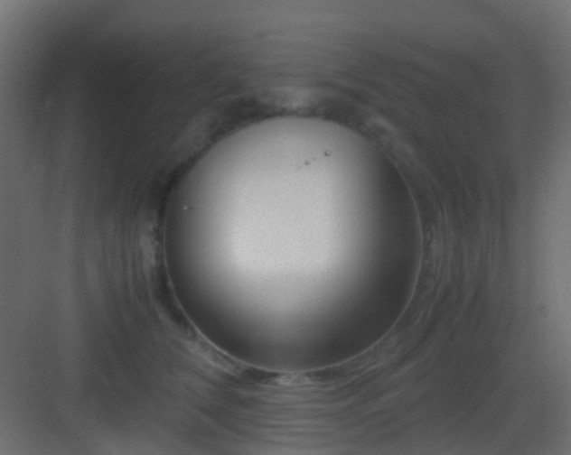 X0000082950612200702081651