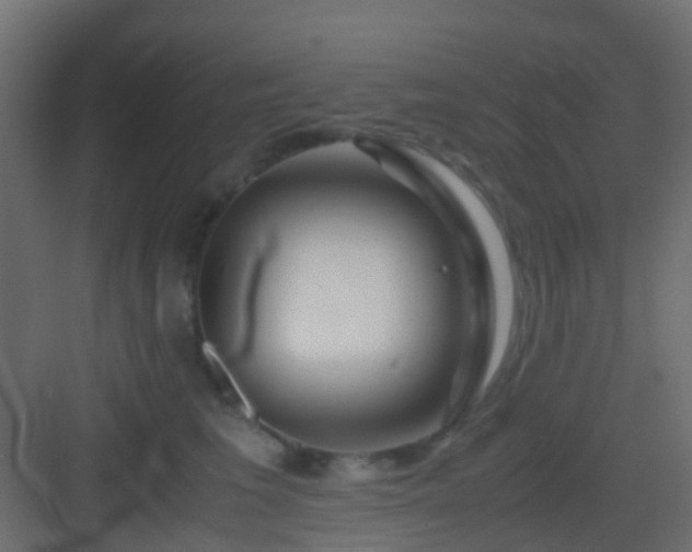 X0000082950613200702081651