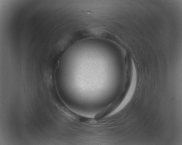 X0000082950615200702081651