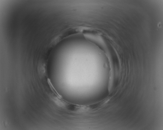 X0000082950621200702081651